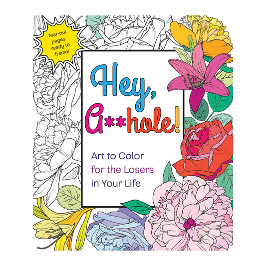 Hey A**hole Coloring Book - Art to Color for the Losers in Your Life - St. Martin's Griffin