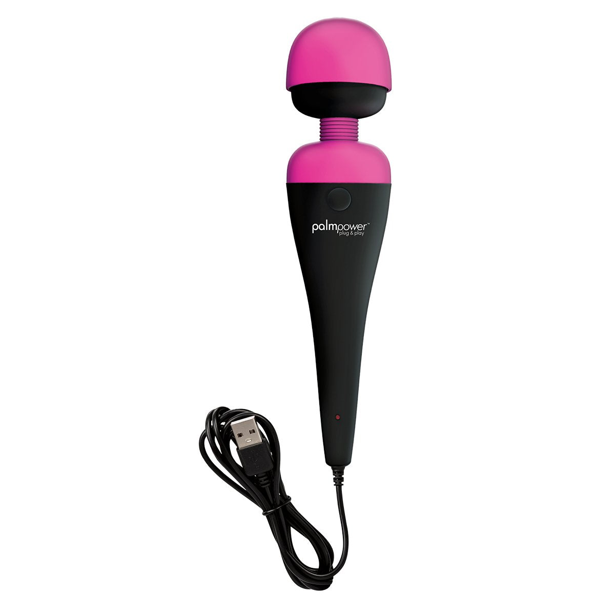 BMS PalmPower Plug & Play