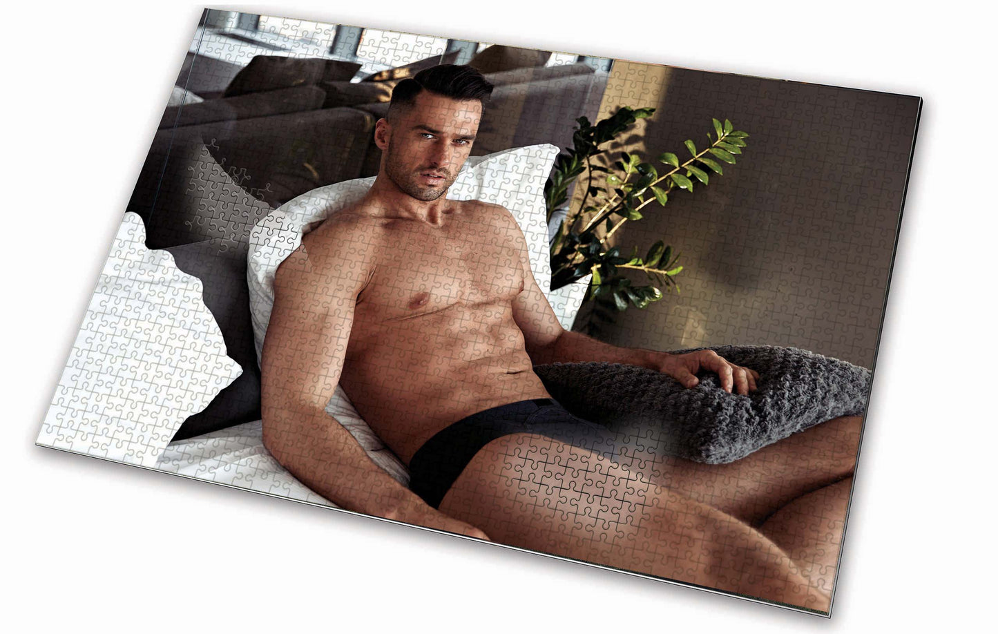 Sexy Puzzle Men In Bed