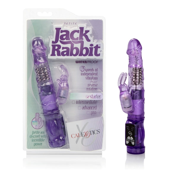 Jack Rabbit Petite