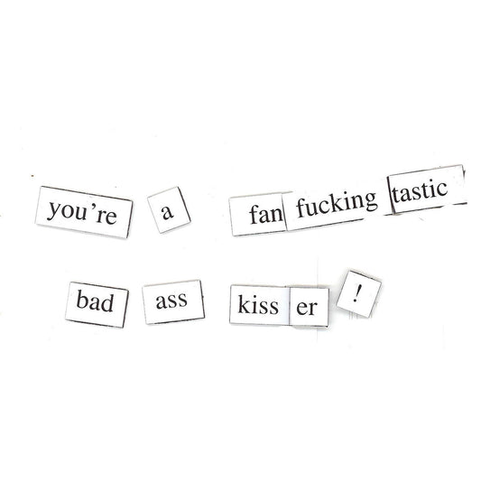 Magnetic Poetry Kit: The "F" Word