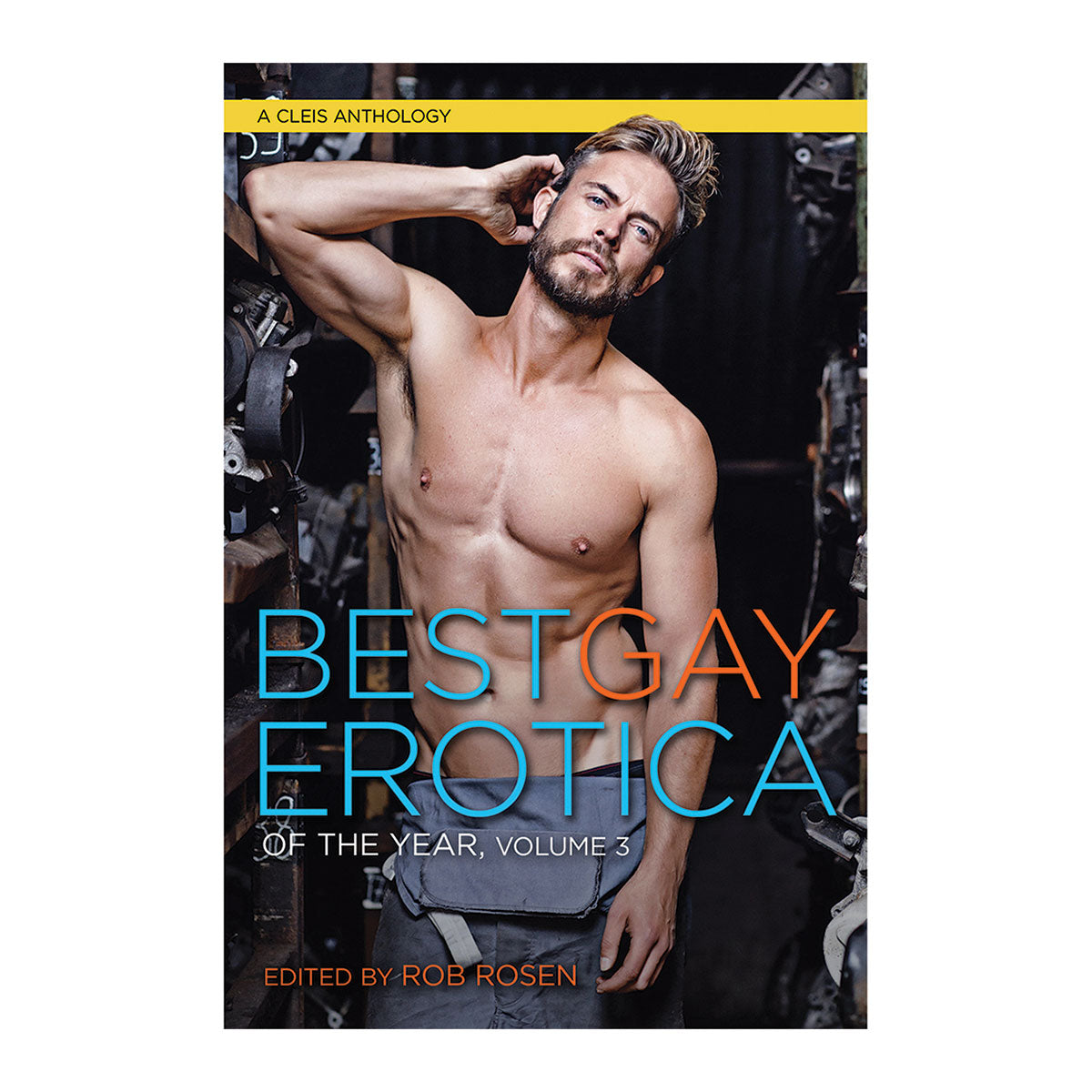 Best Gay Erotica of the Year - Volume 3 - Cleis Press