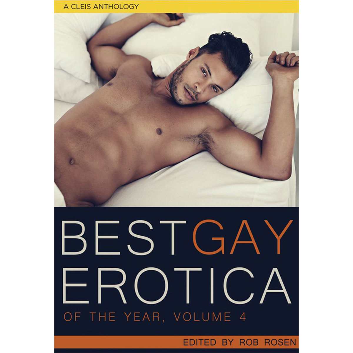 Best Gay Erotica of the Year - Volume 4 - Cleis Press