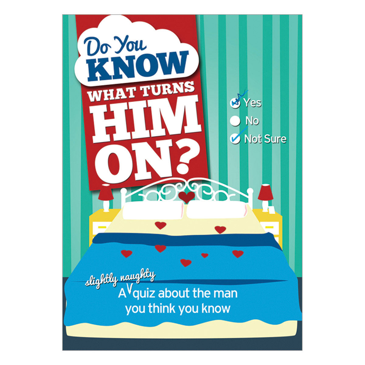 Do You Know What Turns Him On? - A (slightly naughty) quiz about the man you think you know - Sourcebooks Casablanca