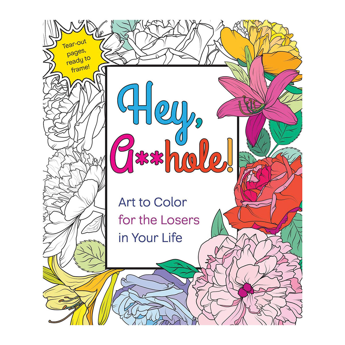 Hey A**hole Coloring Book - Art to Color for the Losers in Your Life - St. Martin's Griffin