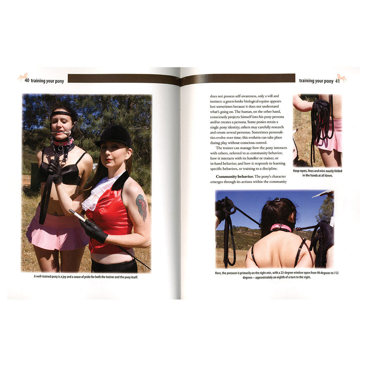 Human Pony - A Guide for Owners, Trainers & Admirers - Greenery Press