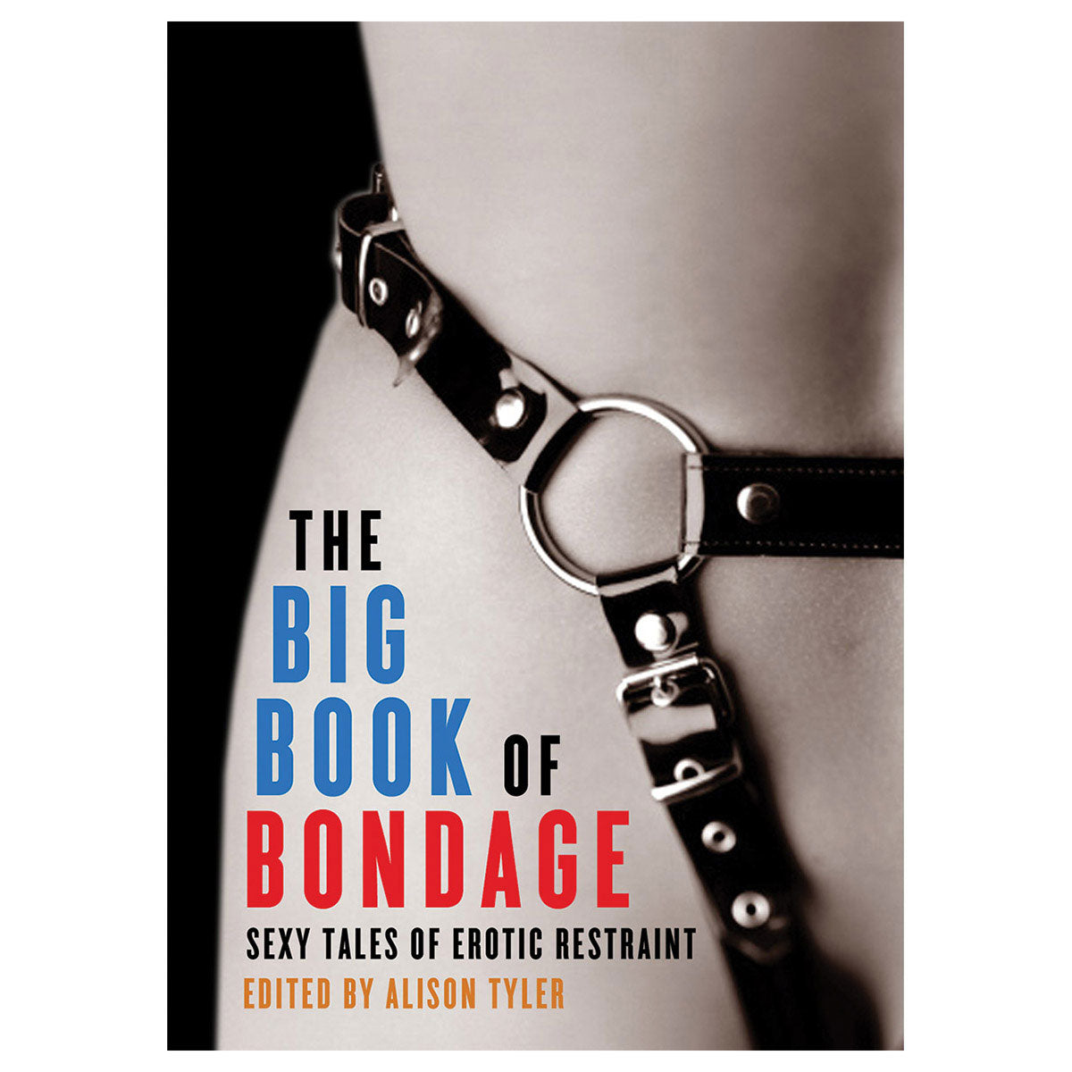 Big Book of Bondage - Sexy Tales of Erotic Restraint - Cleis Press