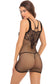 Rene Rofe Absolutist Lace and Net Dress